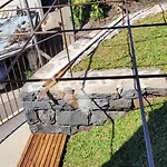 Parco vacanze House Nobrega Of Madeira