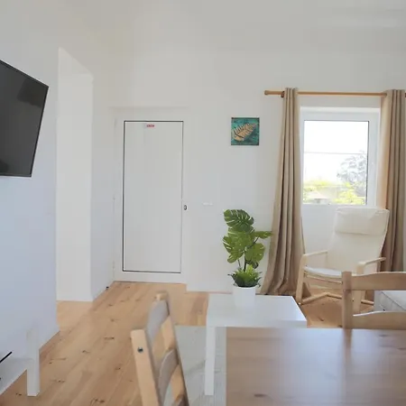 Parco vacanze House Nobrega Of Madeira